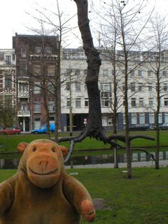 Mr Monkey looking at Elevazione