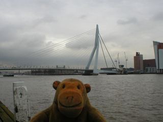 Mr Monkey looking at the Erasmusbrug