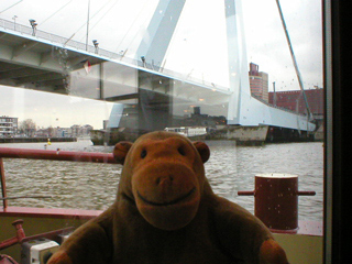 Mr Monkey looking at the base of the Erasmusbrug