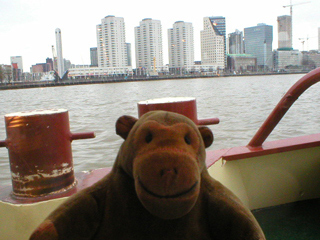 Mr Monkey looking at the residential towers along the Boompjes