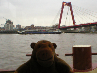 Mr Monkey looking at the Willemsbrug