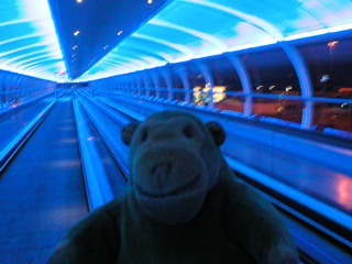 Mr Monkey in the Skywalk at Manchester airport