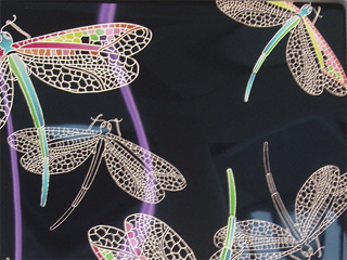 Detail of the dragonfly print of 2004