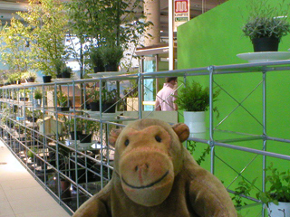 Mr Monkey looking at the racks of plants walling the exhibition