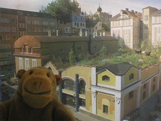 Mr Monkey looking at a photo of a large buildling with a very green flat roof