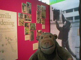 Mr Monkey learning about guerrilla gardening