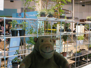 Mr Monkey looking at the exhibition from the walkway outside