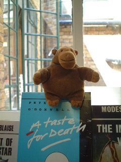 Mr Monkey seated atop a Modesty Blaise novel