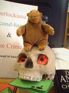 Mr Monkey sitting on a skull