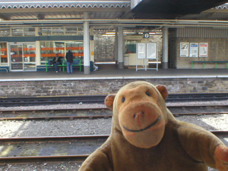 Mr Monkey looking around Sheffield station
