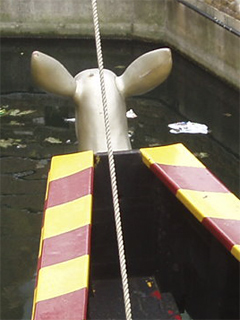 The figurehead seen from behind and above