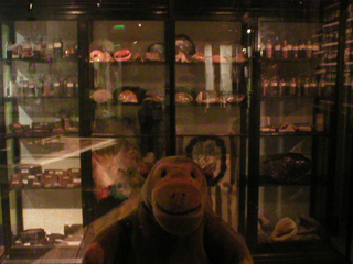 Mr Monkey looking at a cabinet of curiosities