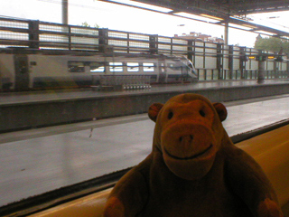 Mr Monkey looking out of the train at St Pancras