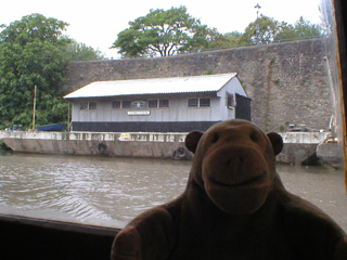 Mr Monkey looking at the Sea Scouts concrete barge