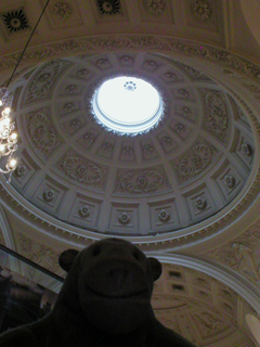 Mr Monkey looking up at the inside of a dome