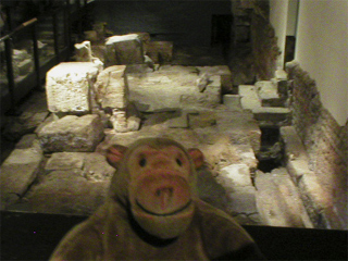 Mr Monkey looking at the remains of the temple courtyard