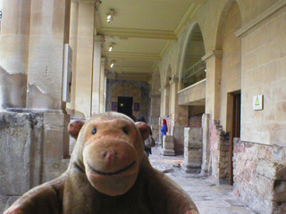 Mr Monkey looking at the walkway around the Great Bath
