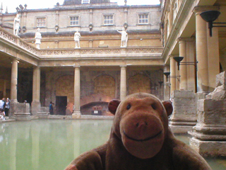 Mr Monkey looking at the Great Bath
