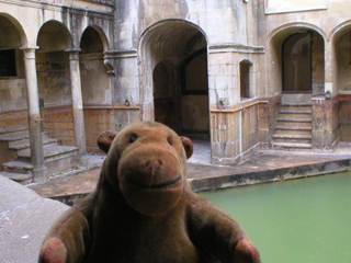Mr Monkey looking at the King's Bath