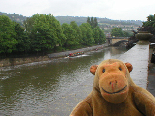Mr Monkey looking down on the Avon