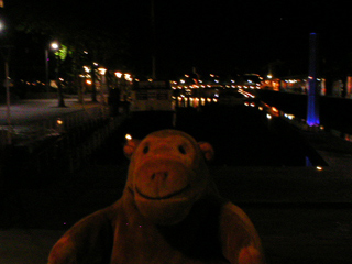 Mr Monkey looking at the Floating Harbour by night