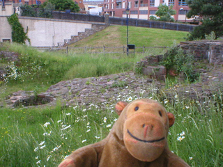 Mr Monkey looking at the remains of Bristol castle