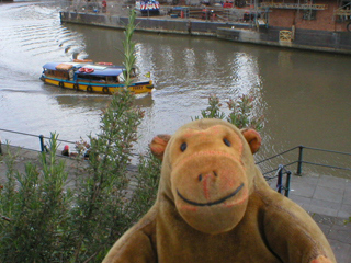 Mr Monkey looking down at a ferry on the river