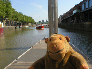 Mr Monkey watching a tour boat approaching the jetty