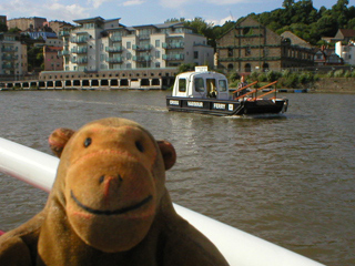 Mr Monkey watching the Cross Harbour Ferry in operation