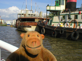 Mr Monkey looking at boats moored at Baltic Wharf