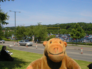Mr Monkey looking at the trees and the carpark at Bristol airport