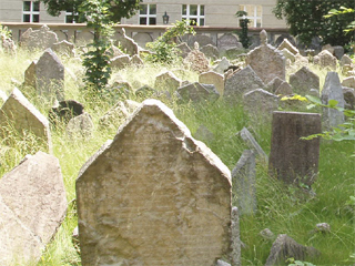 Gravestones in the Old Jewish Cemetery