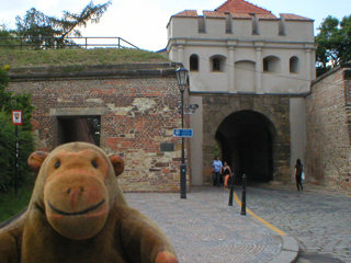 Mr Monkey looking at Tábor Gate