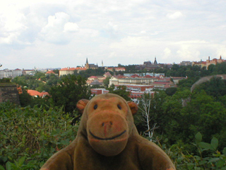 Mr Monkey looking from the ramparts behind the Chapel