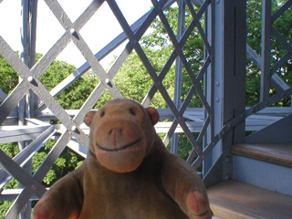 Mr Monkey climbing the Observation Tower