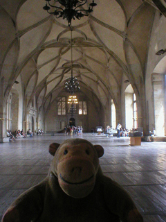 Mr Monkey looking from the west end of Vladislav Hall