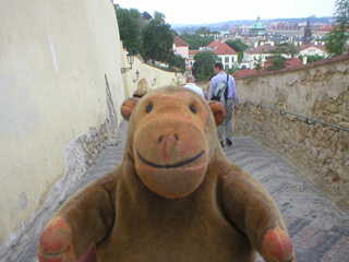 Mr Monkey walking down the path from Prague Castle