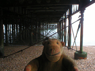 Mr Monkey looking at the underside of the South Parade Pier