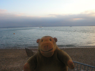 Mr Monkey watching the hovercraft disappear across the Solent