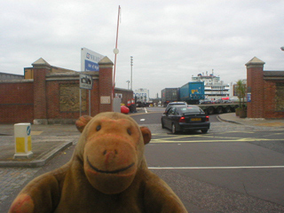 Mr Monkey watching cars queue for the car ferry
