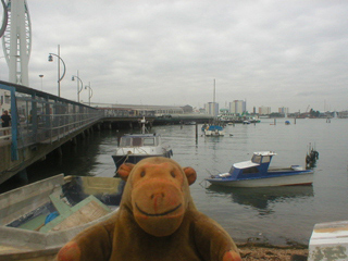 Mr Monkey looking at Portsmouth Harbour with some water in it