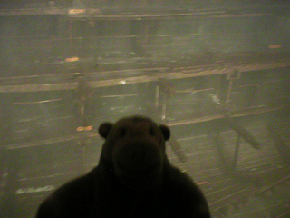 Mr Monkey looking at the Mary Rose
