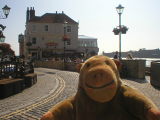 Mr Monkey looking at the Still & West pub