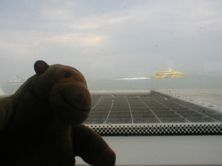 Mr Monkey watching a FastCat from the hovercraft