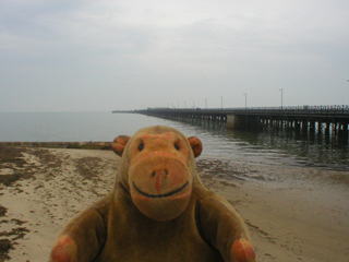 Mr Monkey looking at Ryde pier