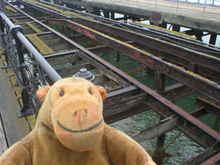 Mr Monkey looking at the sea through the open patches of Ryde pier