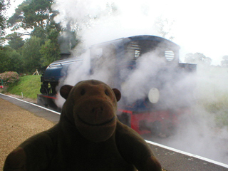 Mr Monkey looking at the engine surrounded by clouds of steam
