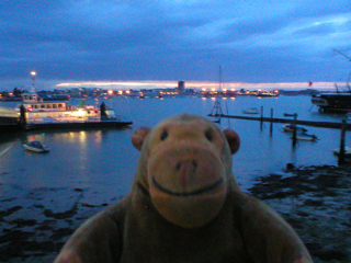 Mr Monkey looking at Portsmouth Harbour at dusk