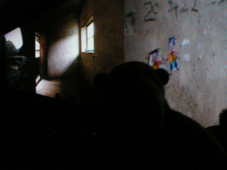 Mr Monkey watching a video showing the inside of a Hakka roundhouse