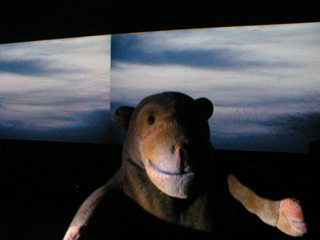 Mr Monkey watching a bleak beach in the Interval II video